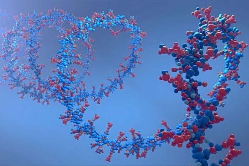 Фармкомпания Eli Lilly покупает американскую биотех-компанию Orna Therapeutics за $2,4 млрд